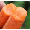 新鲜红萝卜胡萝卜10当季时令新鲜蔬菜5斤装包邮农家自种
